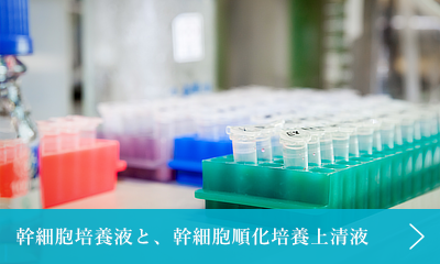 幹細胞培養液と、幹細胞順化培養上清液