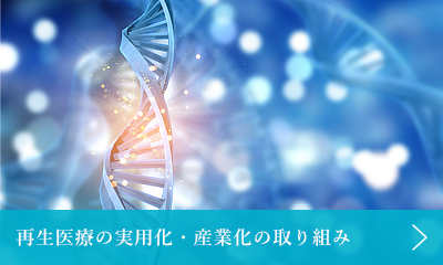 再生医療の実用化・産業化の取り組み